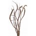 FANTAIL WILLOW 32"- No Sleeves-